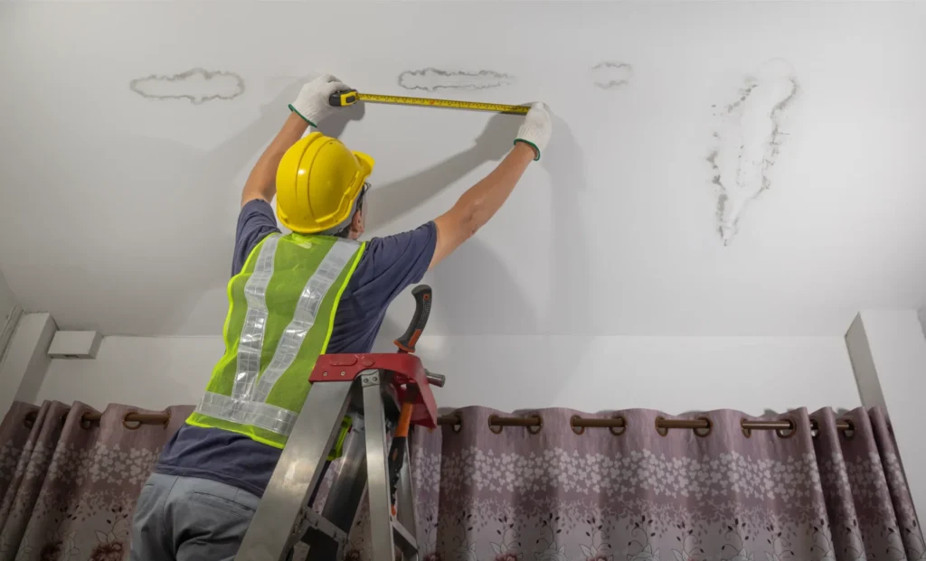 Mold Remediation Experts in Allenstown